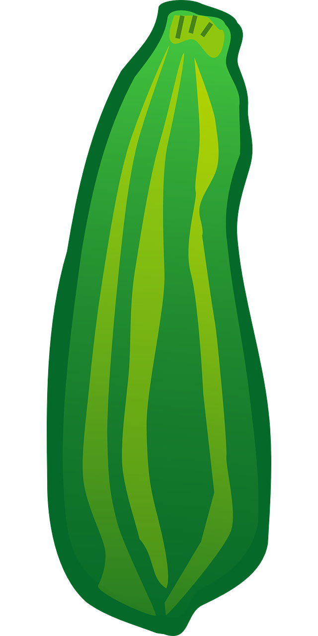 Marrow Transparent PNG Image