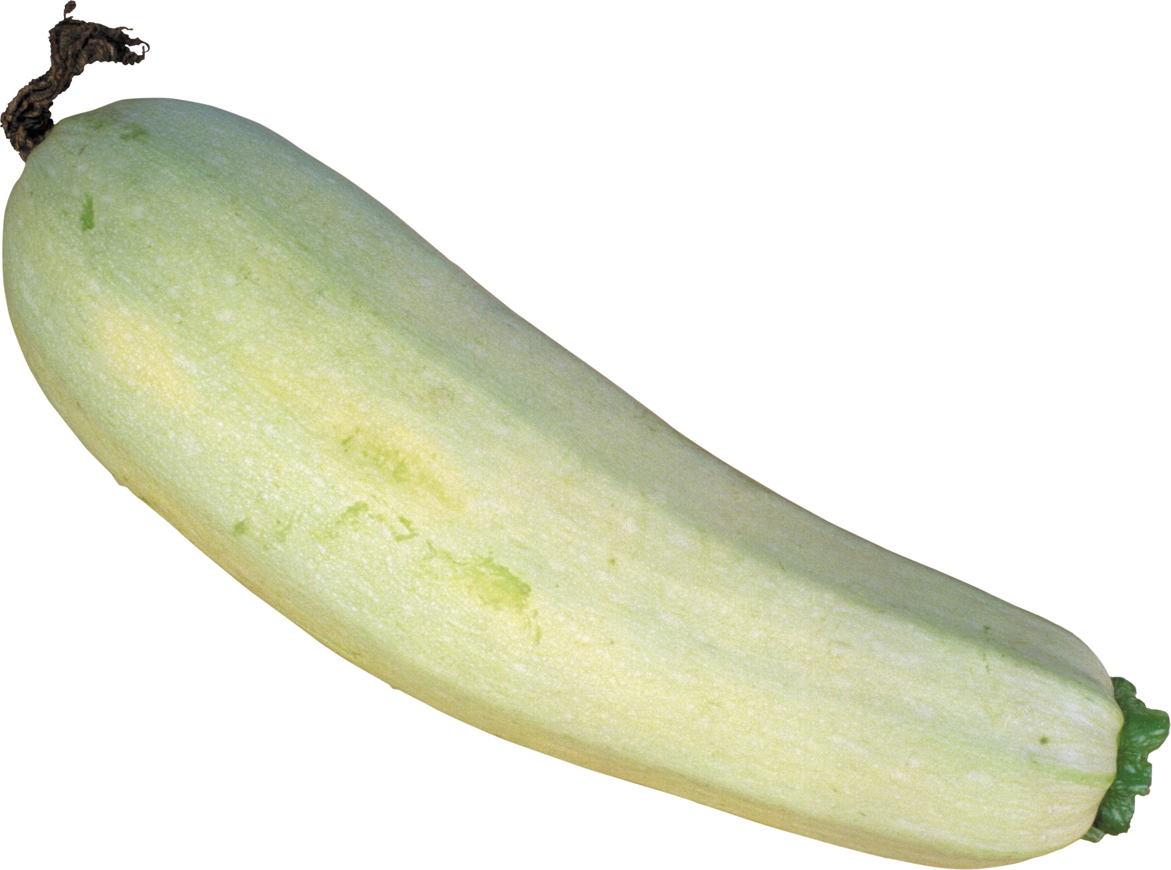 Marrow Transparent PNG Image