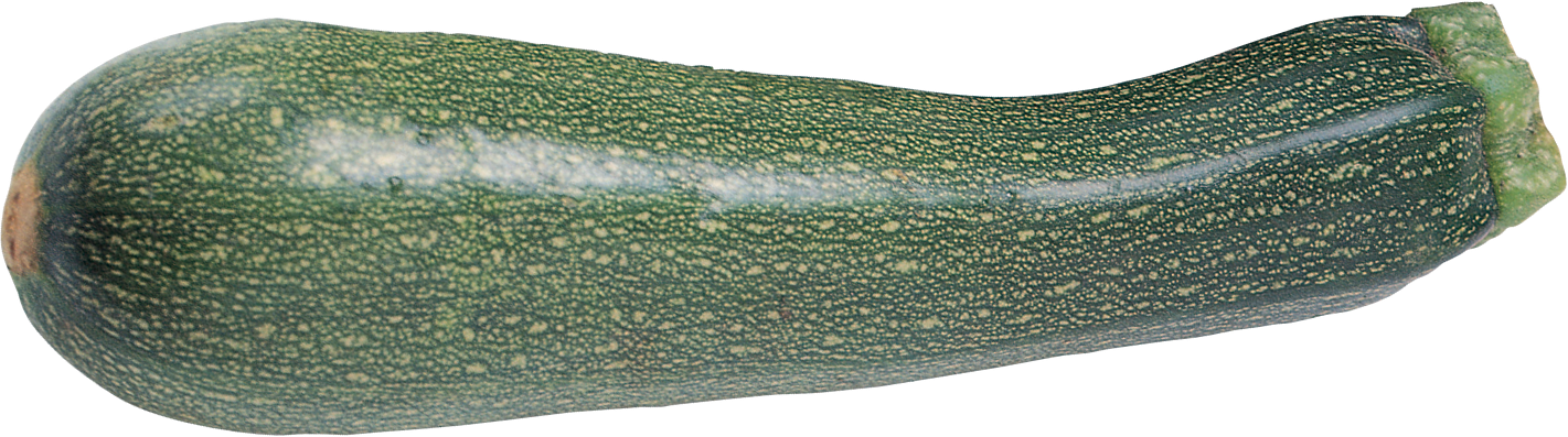 Marrow Transparent PNG Image