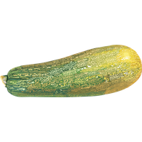 Marrow PNG
