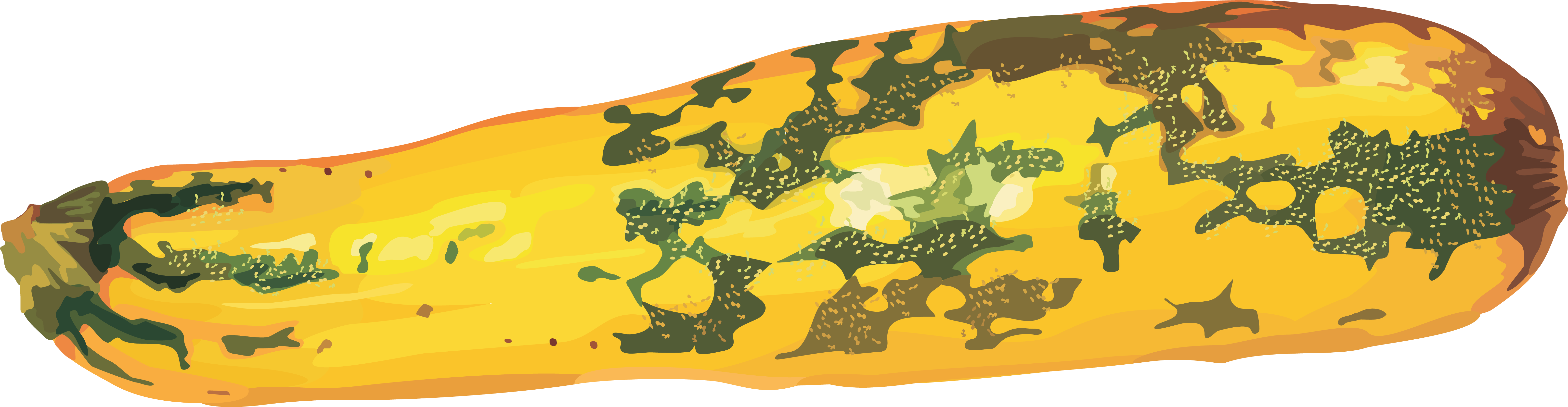 Marrow Transparent PNG Image