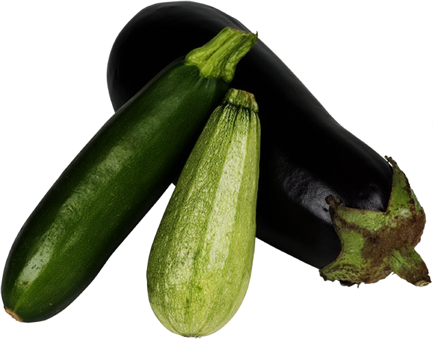 Marrow Transparent PNG Image