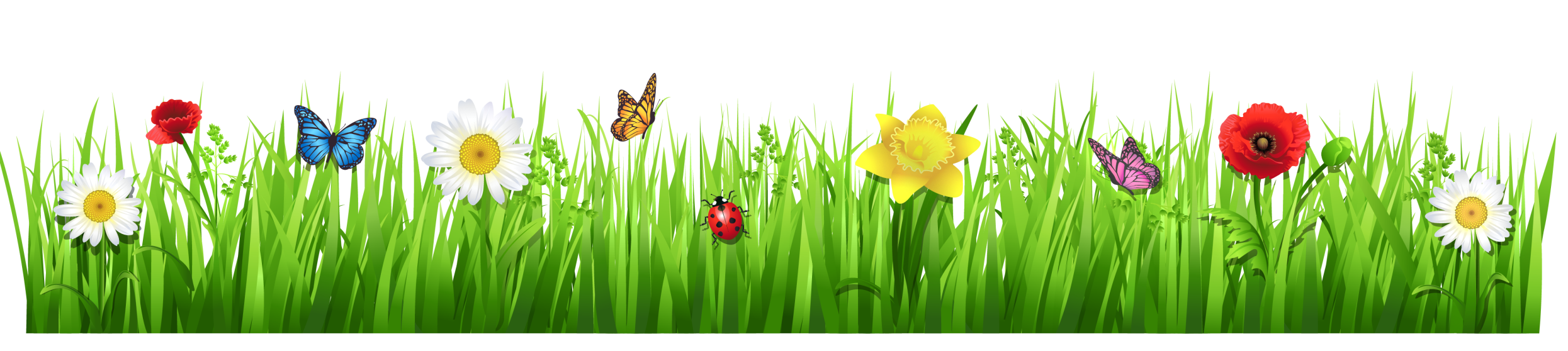 Field Meadow PNG Image High Quality PNG Image