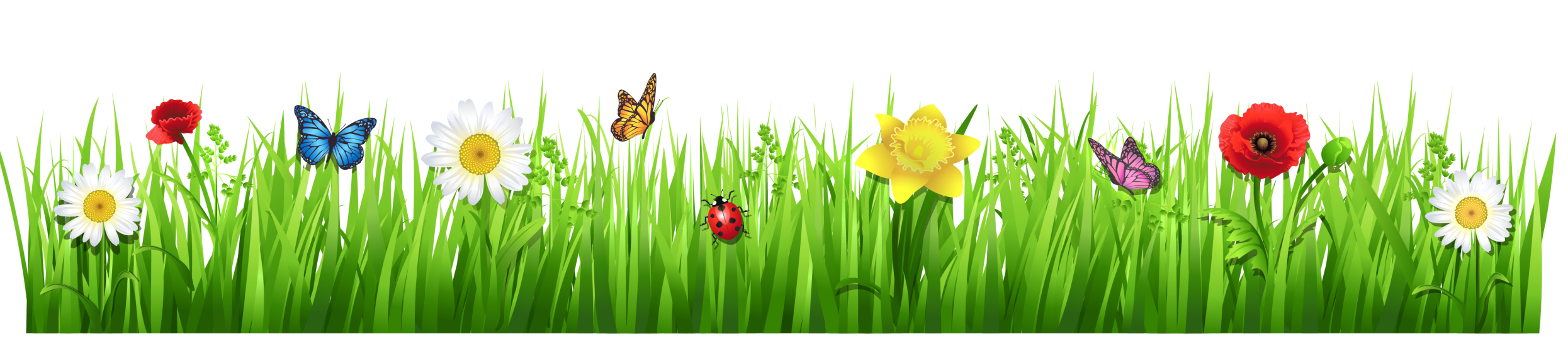 Field Meadow PNG Image High Quality Transparent PNG Image