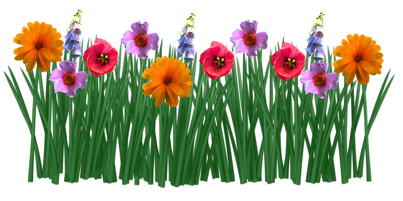 Field Meadow Free HQ Image PNG Image