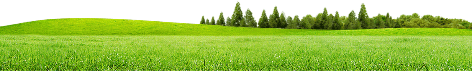 Field Meadow Photos HQ Image Free PNG Image