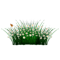 Field Pic Meadow Free Transparent Image HD Transparent PNG Image