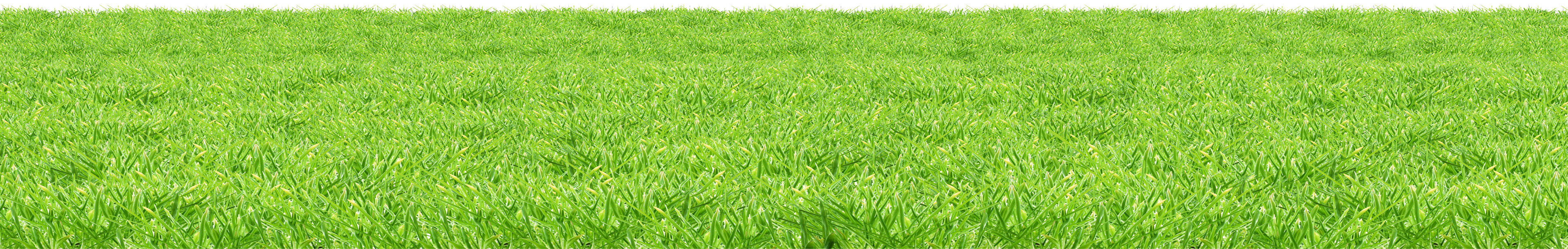 Meadow Greenscape Free Download Image PNG Image