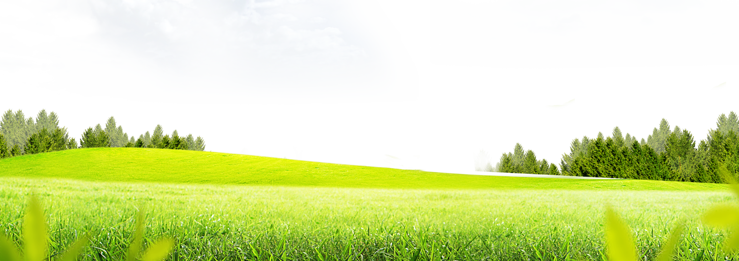 Meadow Greenscape Download Free Image PNG Image