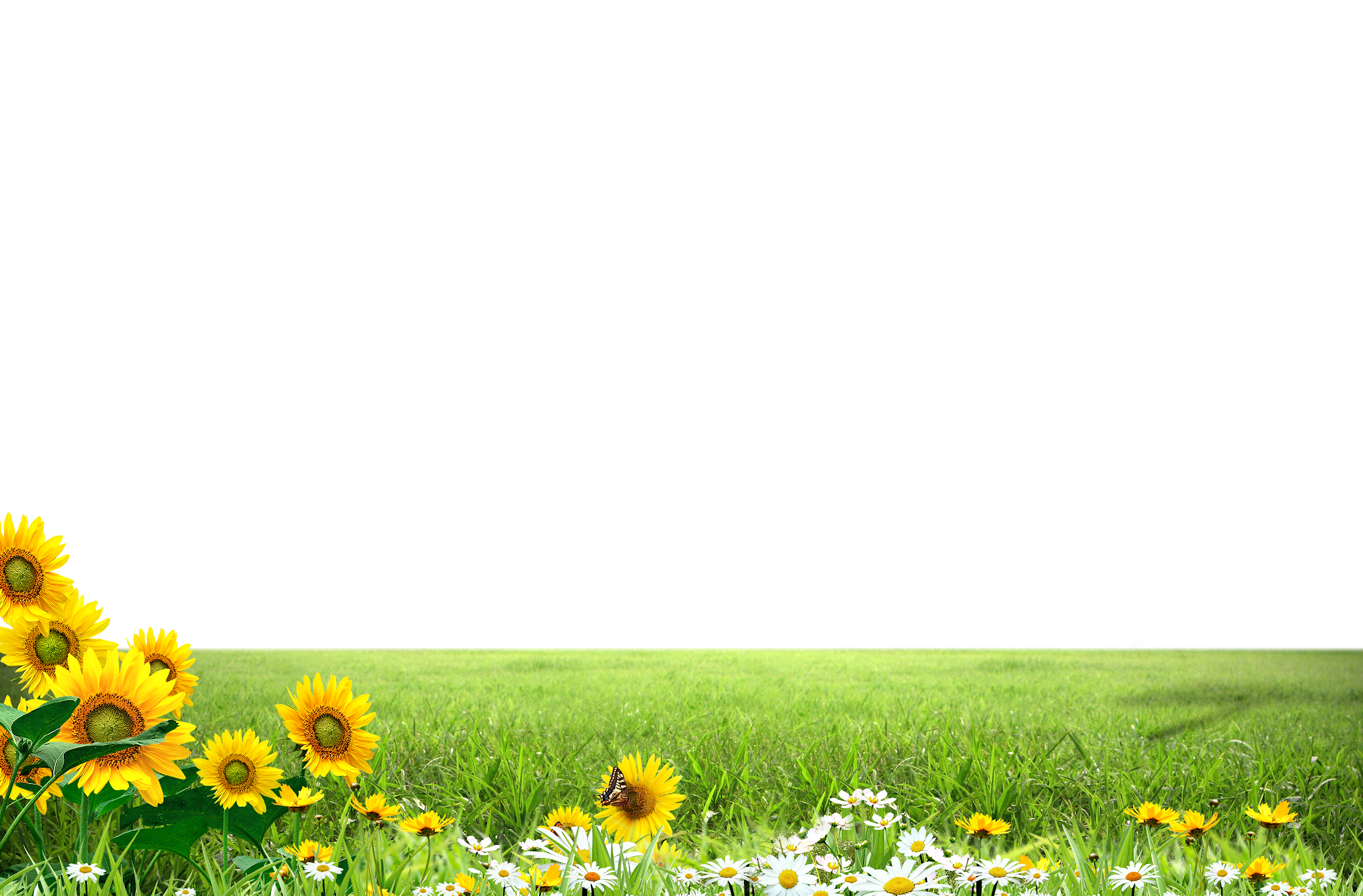 Meadow Greenscape Download HD PNG Image