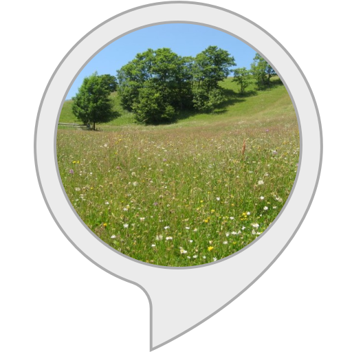 Picture Meadow Download HD PNG Image