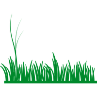 Summer Meadow HQ Image Free PNG