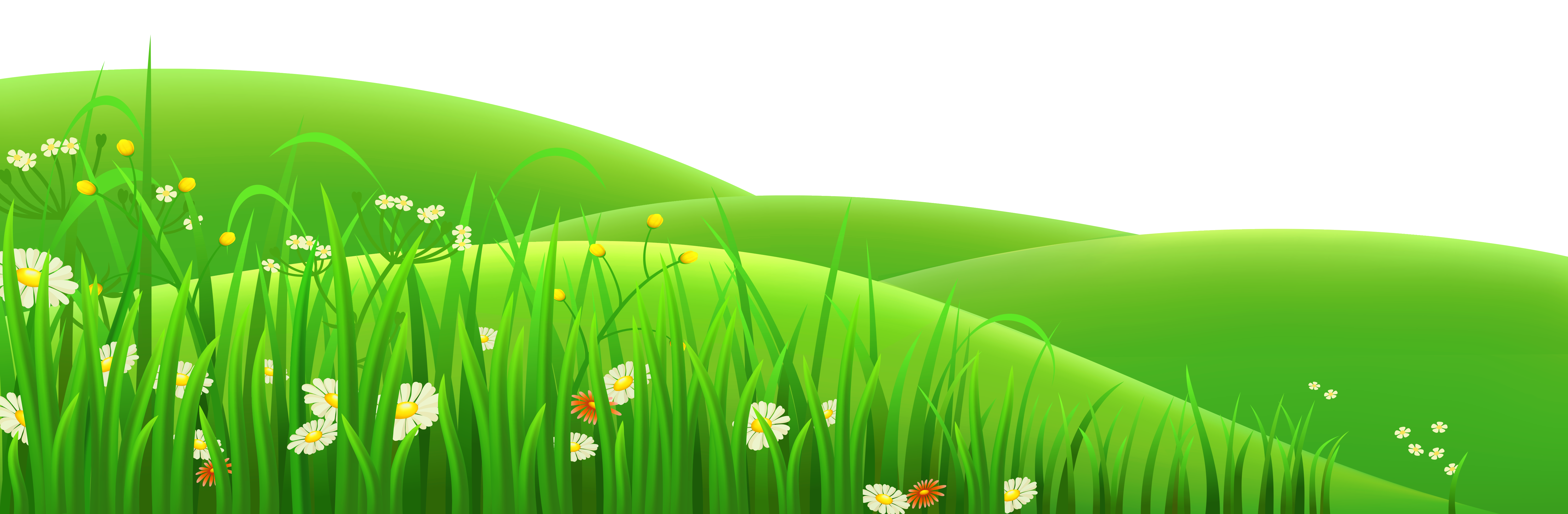 Summer Meadow Picture Free HQ Image PNG Image