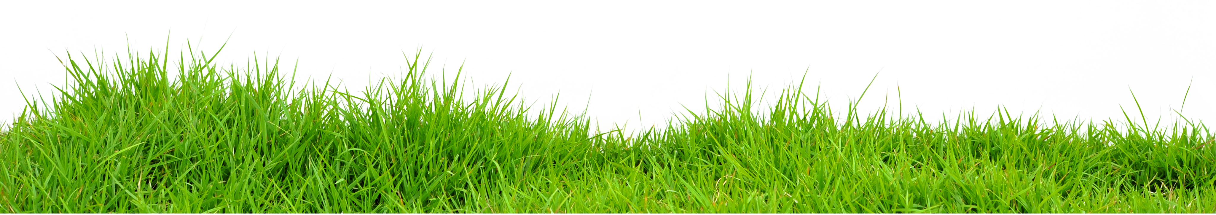 Summer Meadow HQ Image Free Transparent PNG Image