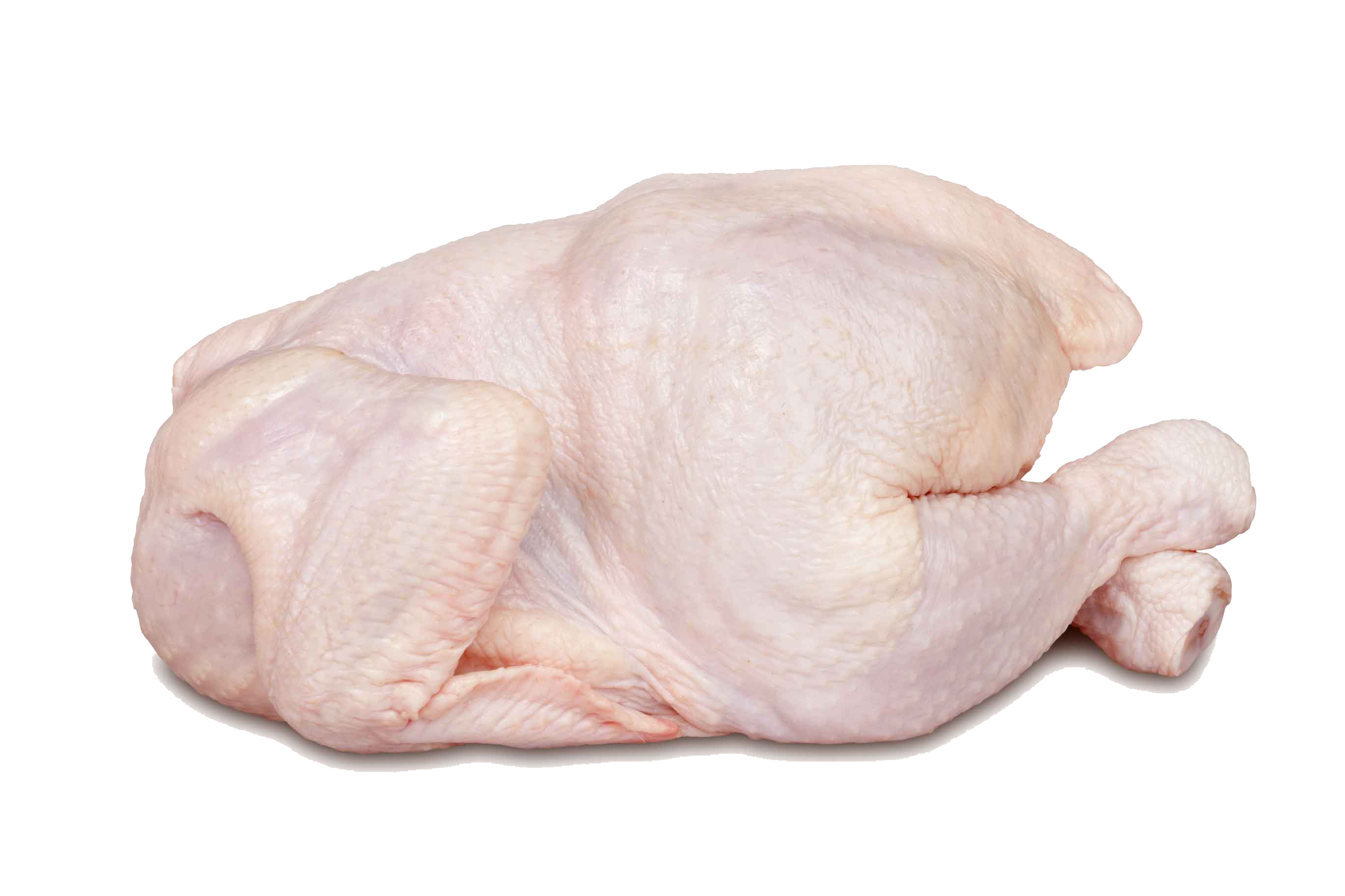 Chicken Meat File PNG Image