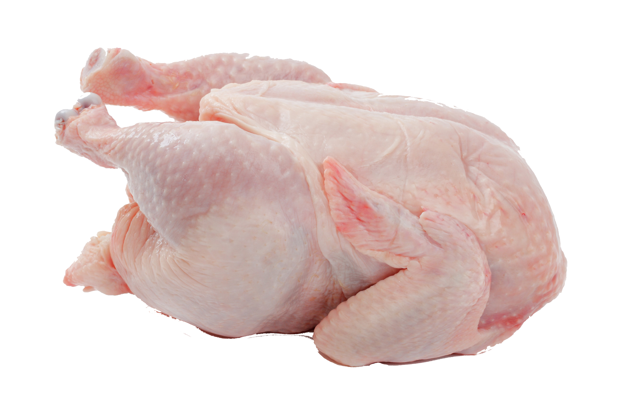 Download Chicken Meat HQ PNG Image | FreePNGImg