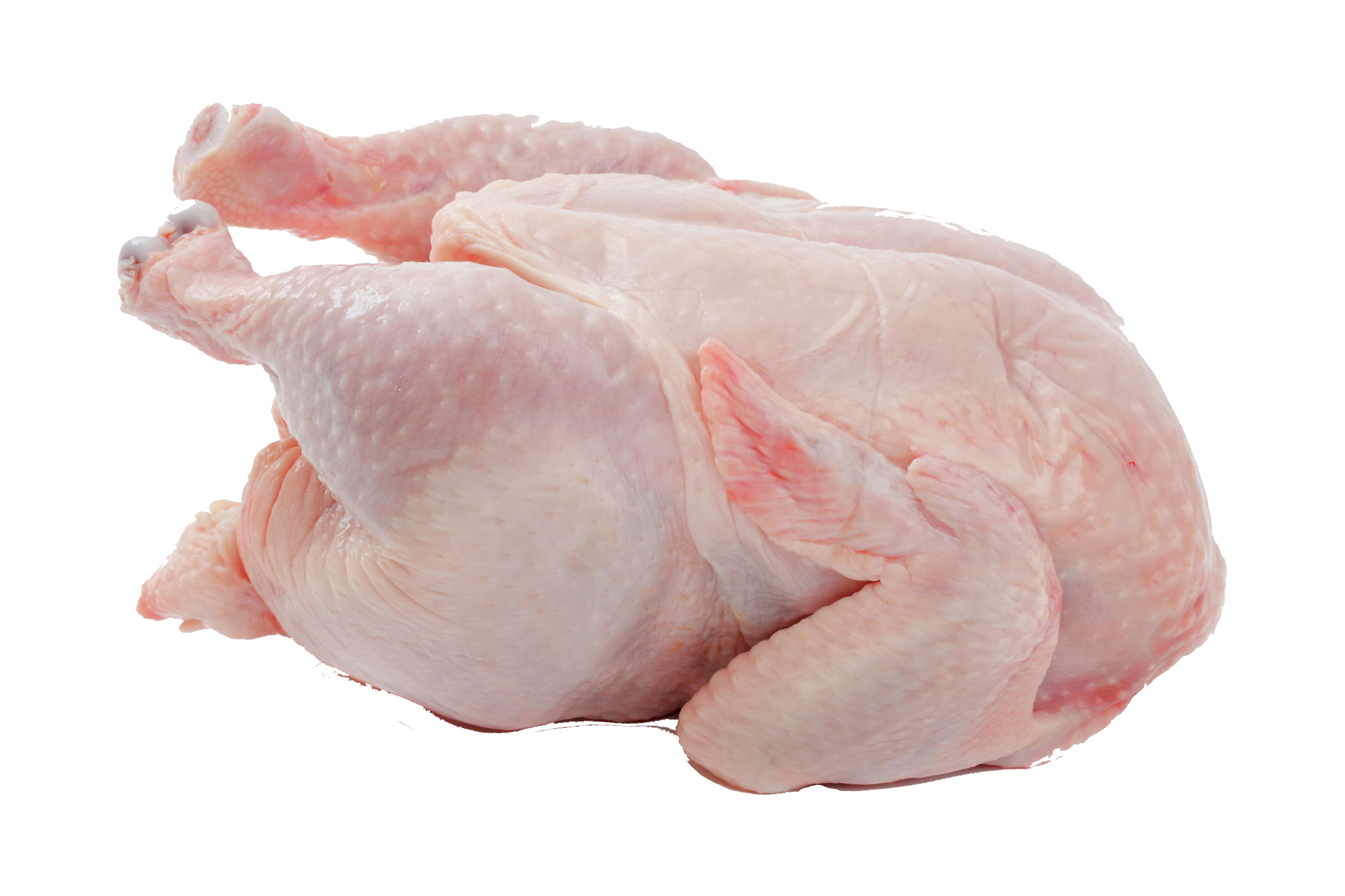 download-chicken-meat-hq-png-image-freepngimg