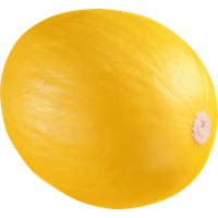 Melon PNG