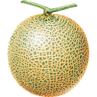 Melon PNG
