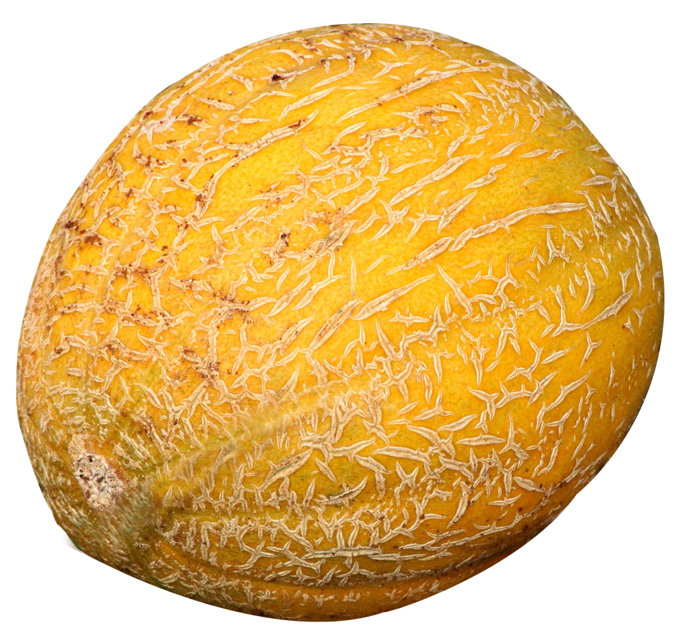 Melon Transparent PNG Image