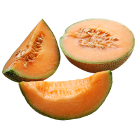 Melon PNG