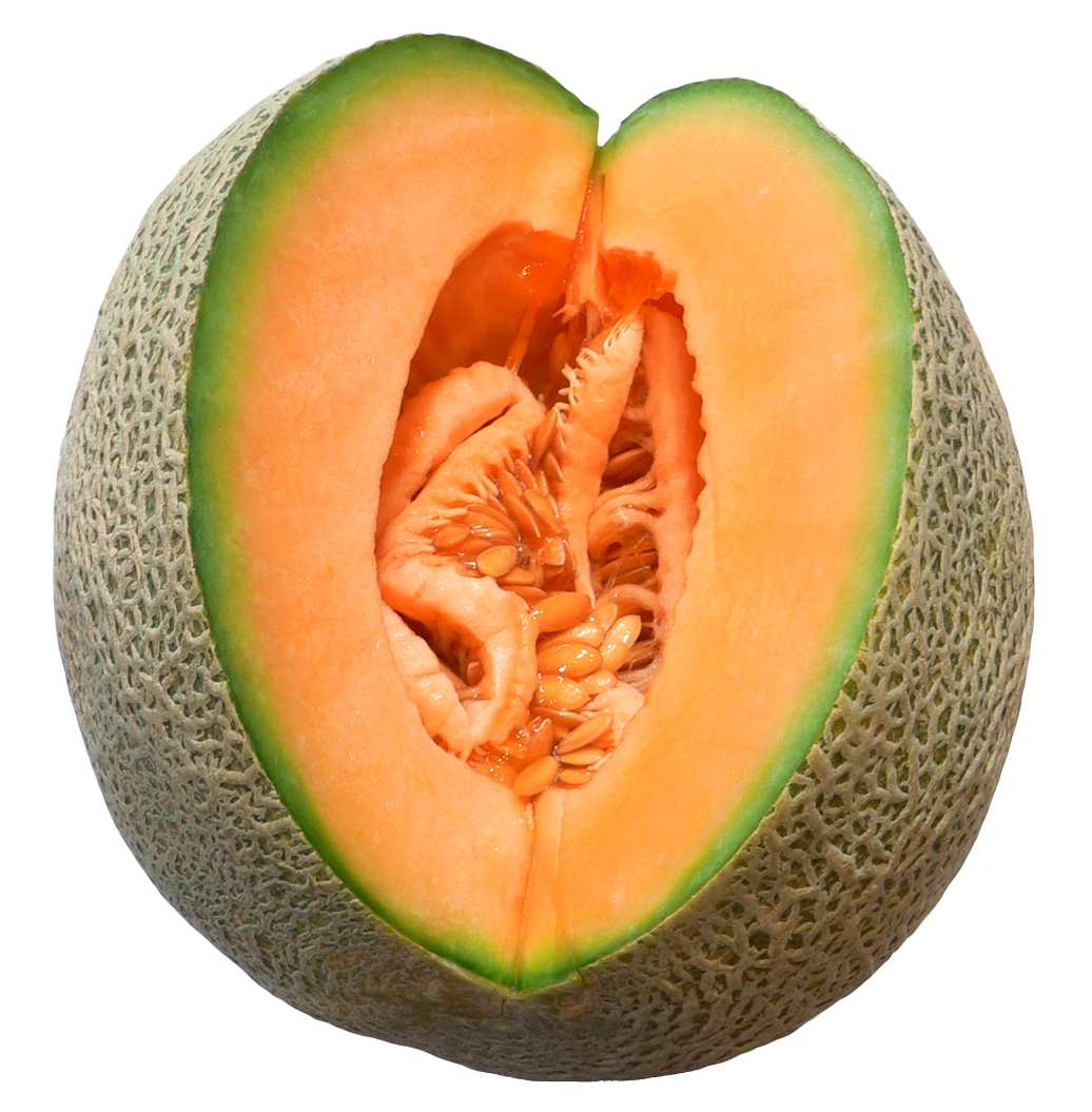 Melon Transparent PNG Image