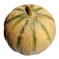 Melon PNG