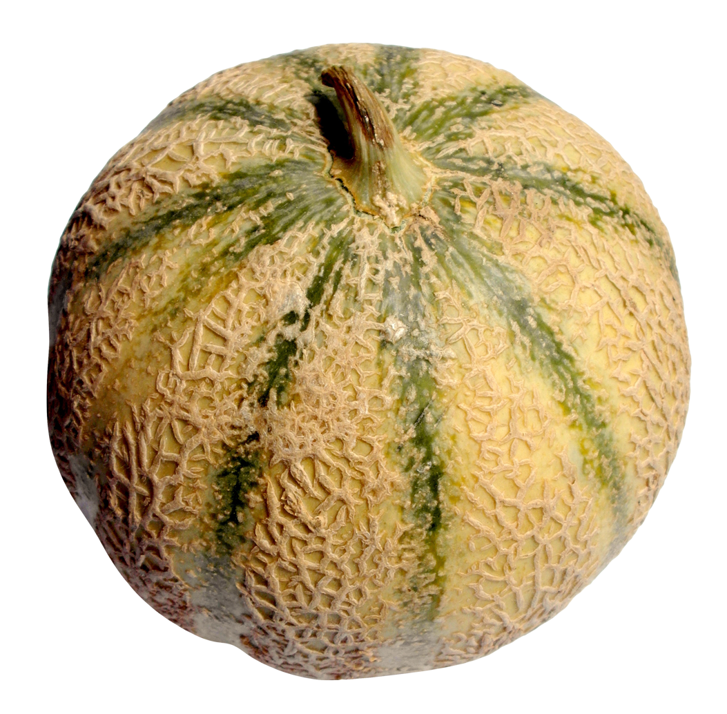 Melon Transparent PNG Image