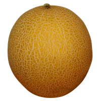 Melon PNG
