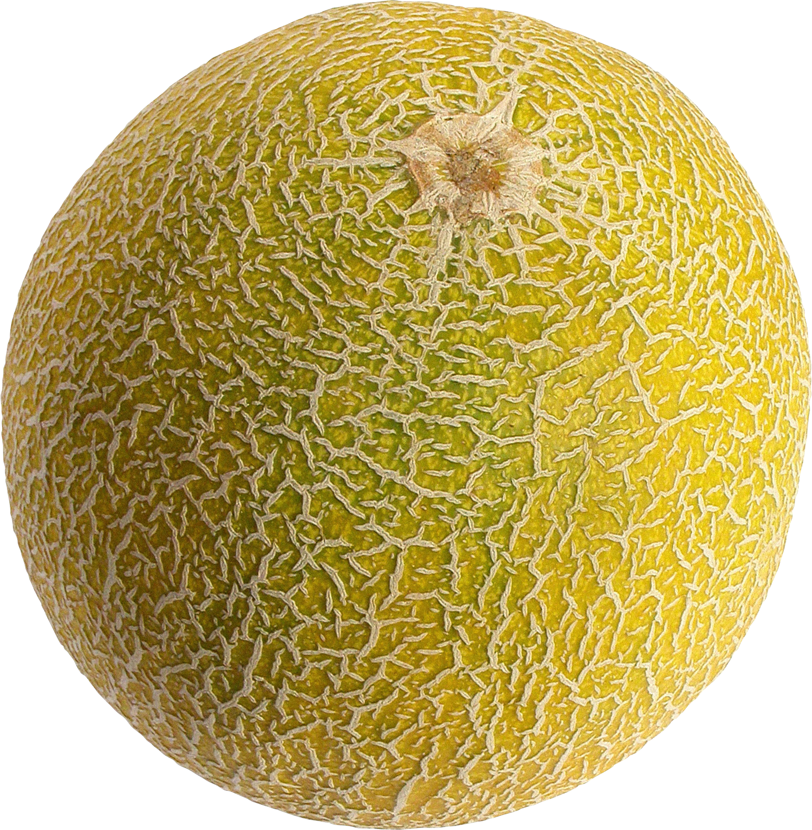 Melon Transparent PNG Image