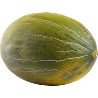 Melon PNG