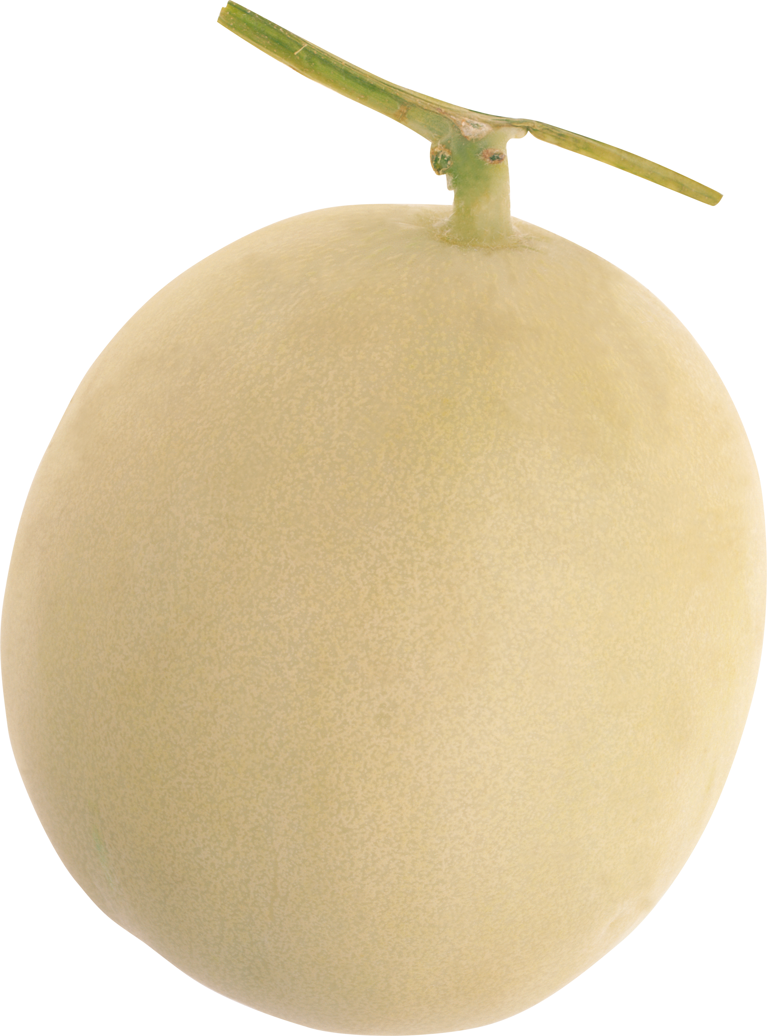Melon Transparent PNG Image
