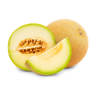 Melon PNG Image