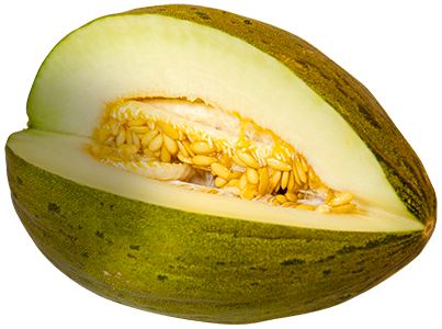 Melon Transparent PNG Image