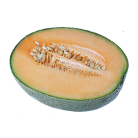 Melon PNG