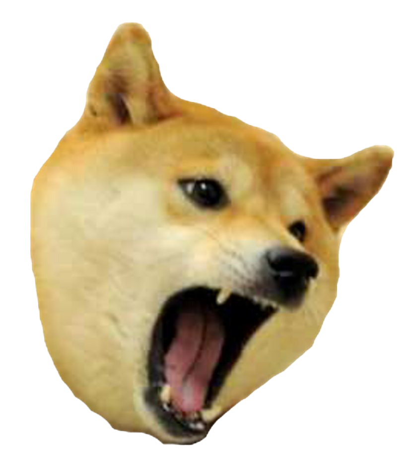 Meme Picture Doge Download Free Image PNG Image