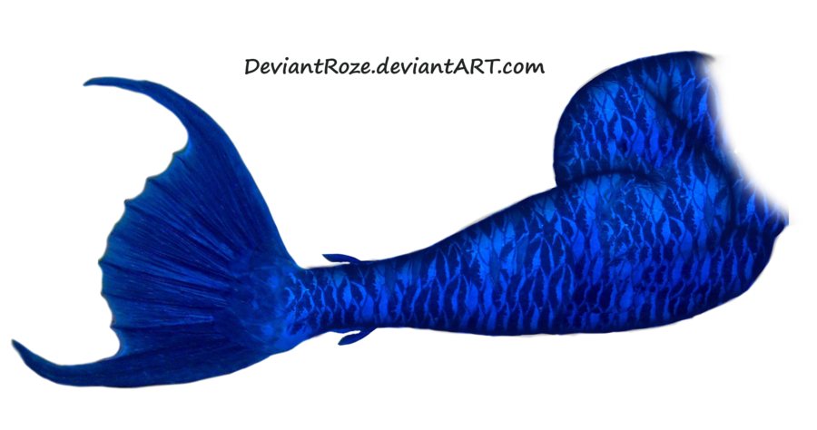 Mermaid Tail Png Picture PNG Image