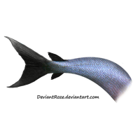 Mermaid Tail Png Image Transparent HQ PNG Download | FreePNGImg