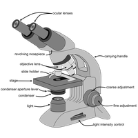 Microscope Basic Free Download Image Transparent HQ PNG Download ...