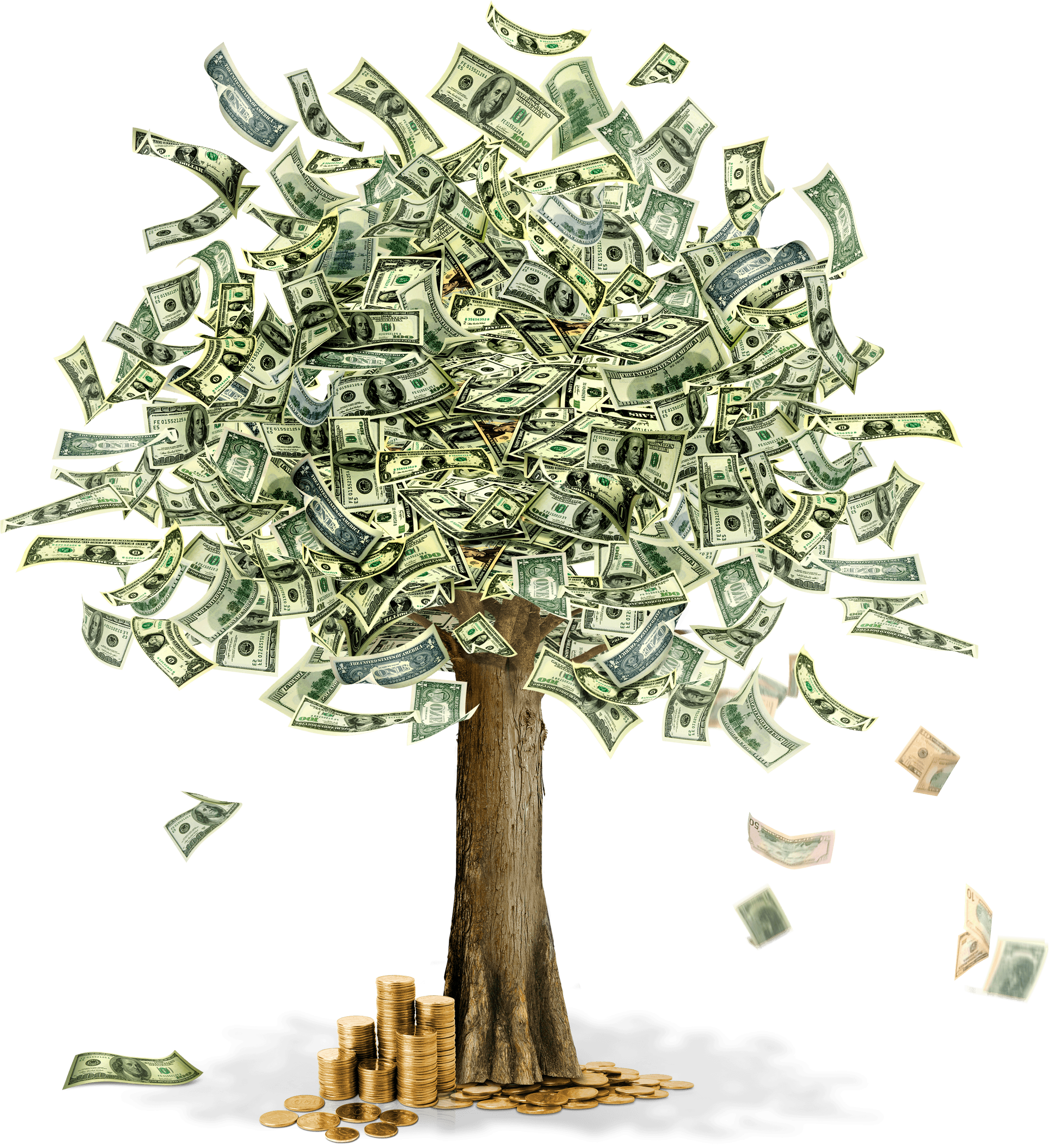 Money Tree Png Image PNG Image