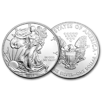 American Silver Coin File PNG