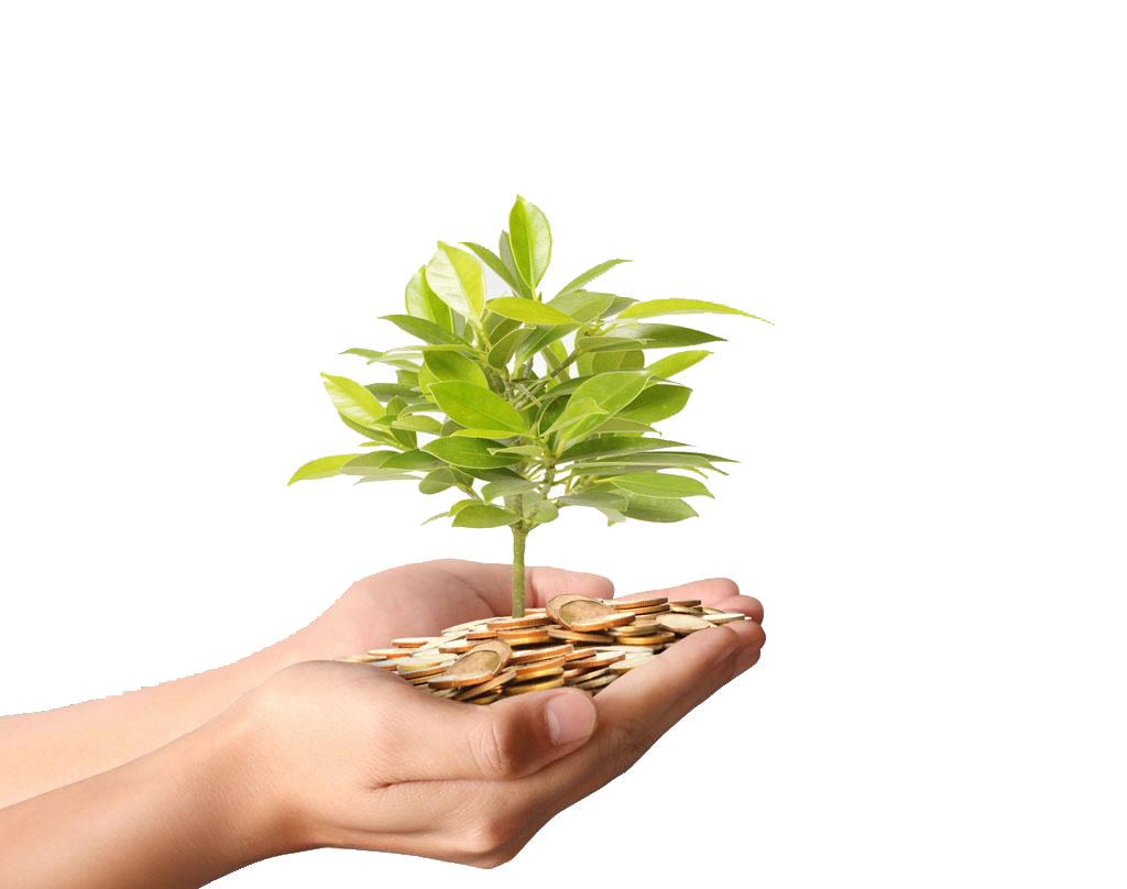 Plant Material Gold Money Photography Coins Tree PNG Image