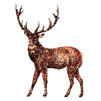 Moose elk Transparent PNG Image