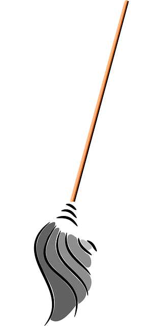 Mop Transparent PNG Image