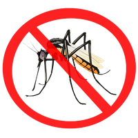 Download Mosquito Png Image HQ PNG Image | FreePNGImg