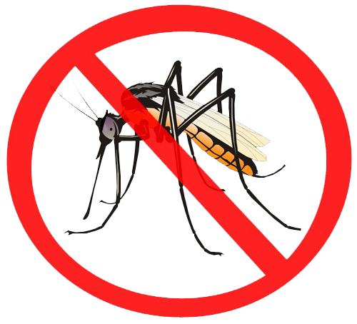 Mosquito Png PNG Image