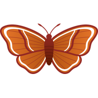 Moth Transparent PNG Image