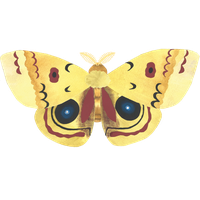Moth Transparent PNG Image