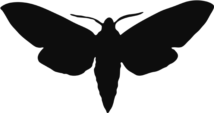 Moth Transparent PNG Image