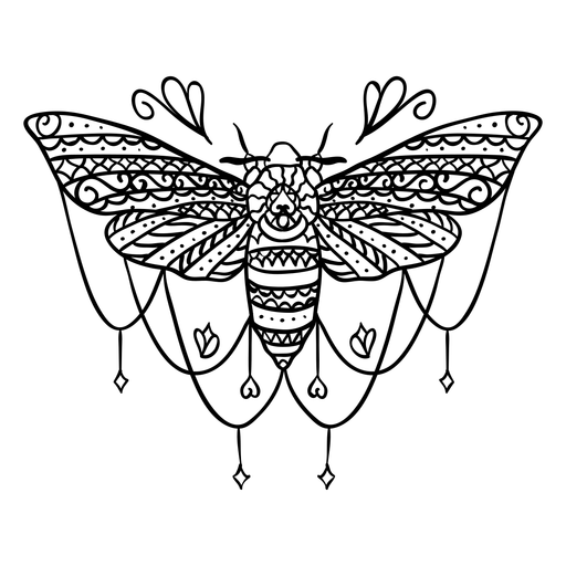 Moth Transparent PNG Image